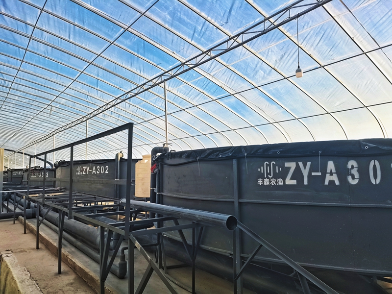 冬日无闲抓项目建设新闻稿,冬日无闲大抓项目成果显著