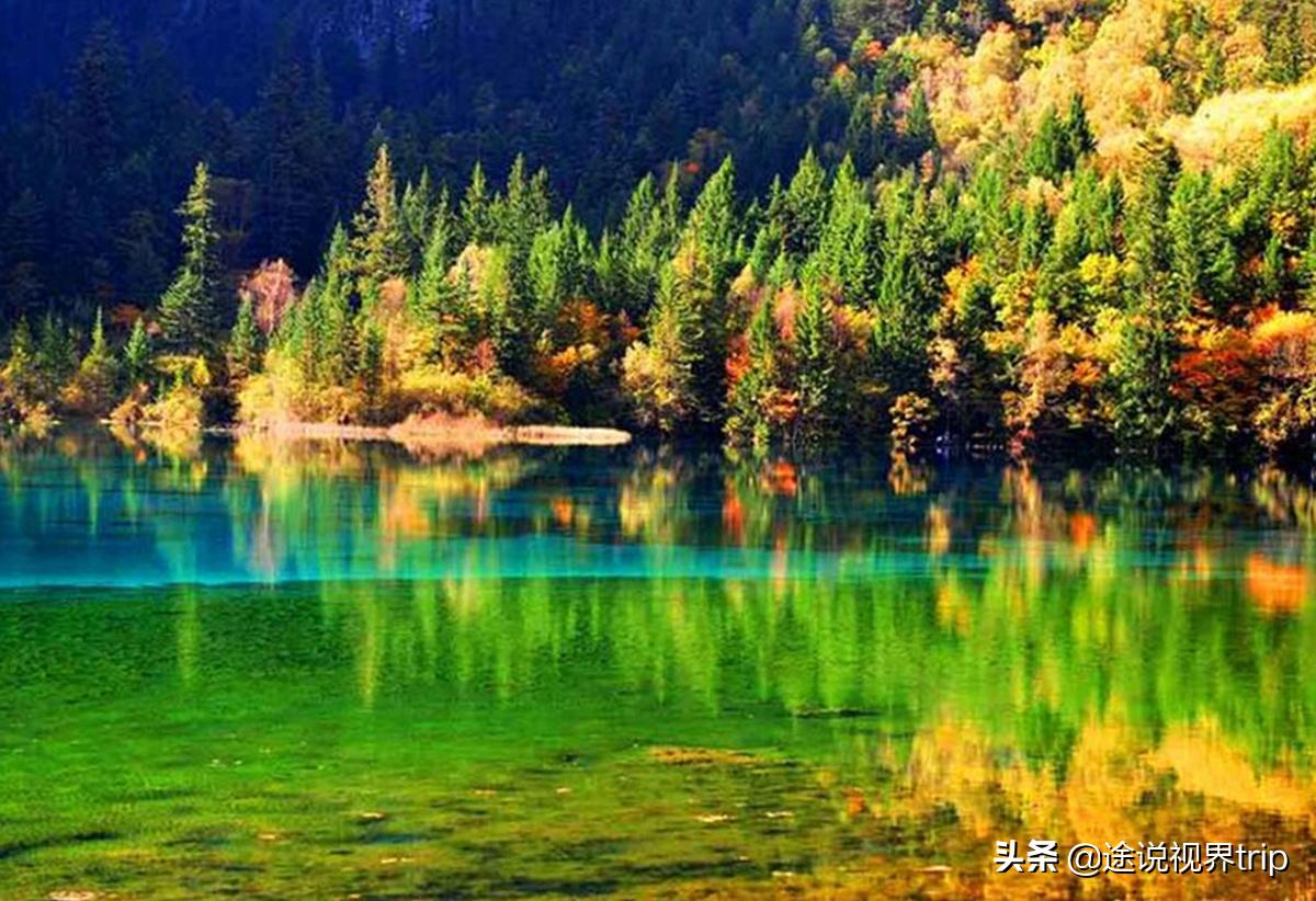 人间仙境的九寨沟,人间仙境九寨沟风景如画美不胜收