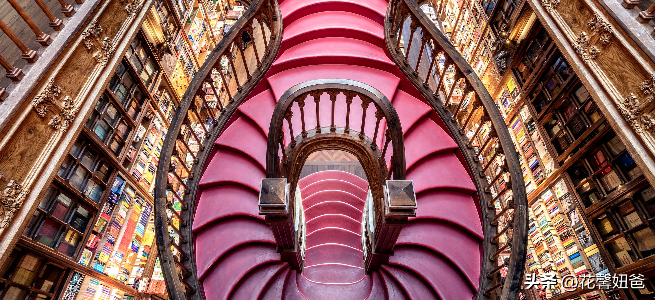 卡塔尔世界杯葡萄牙的阵容,卡塔尔世界杯葡萄牙国家队