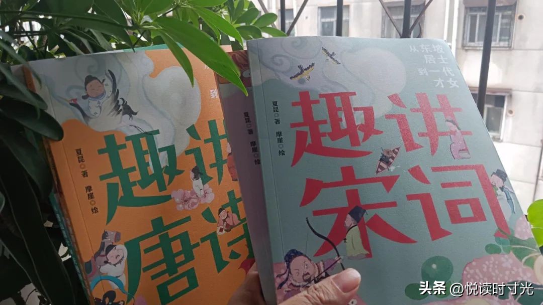 解读最美唐诗宋词,唐诗宋词经典推荐及阅读心得