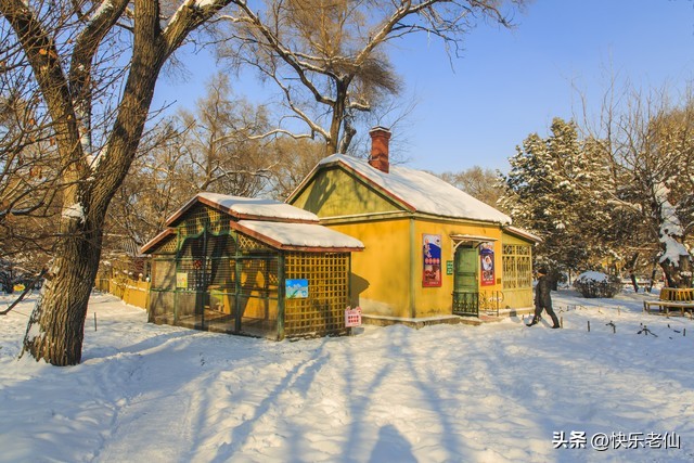 俄罗斯民族风情视频,俄罗斯民族风情特色