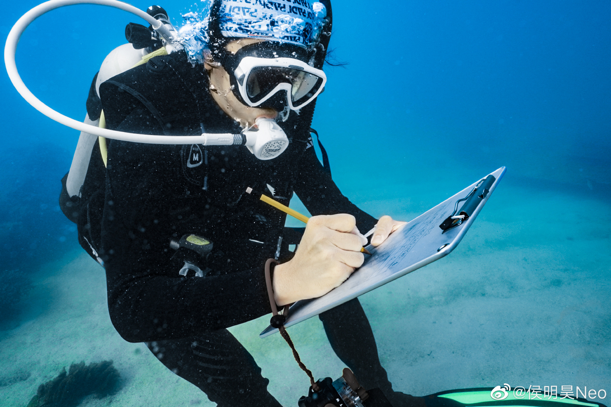 sm练习生小时候,曾经是sm练习生的中国艺人
