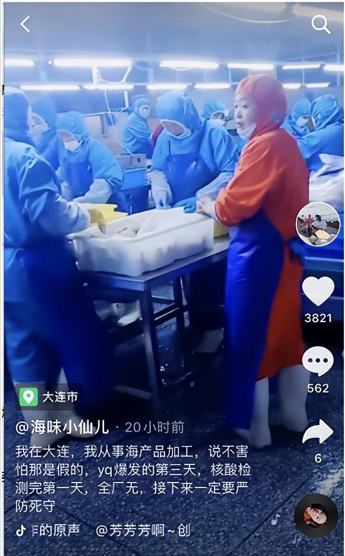 《我要创业的理由》-大连海边的岩岩小姐姐