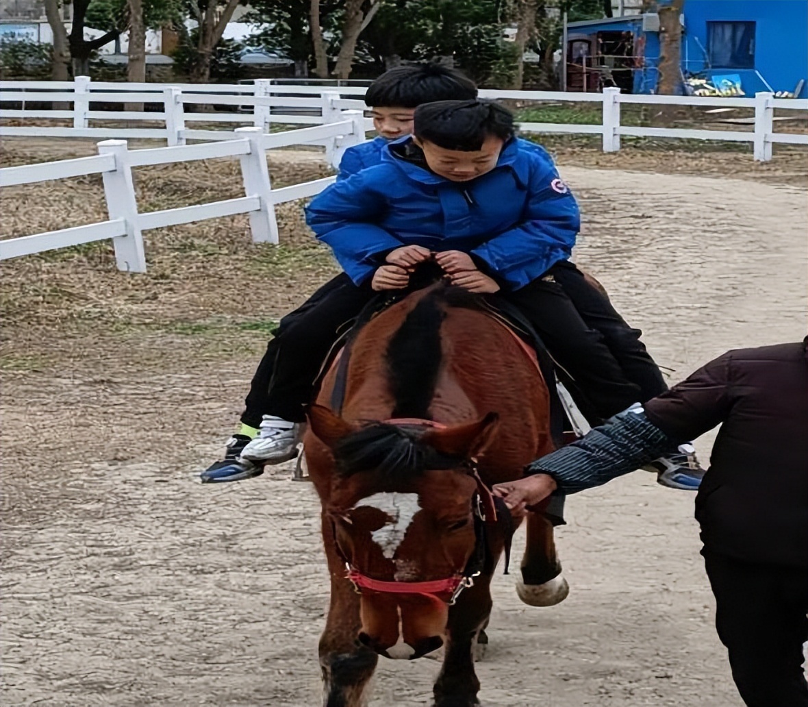 江苏大型儿童成长节目剪刀石头布,小鸭嘎嘎儿歌石头剪刀布早教0-3岁