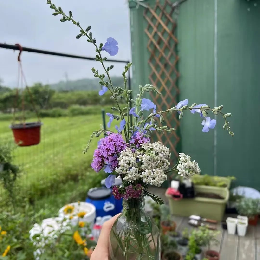 搬离城市，坐火车上班的年轻人：获得了真正的快乐！