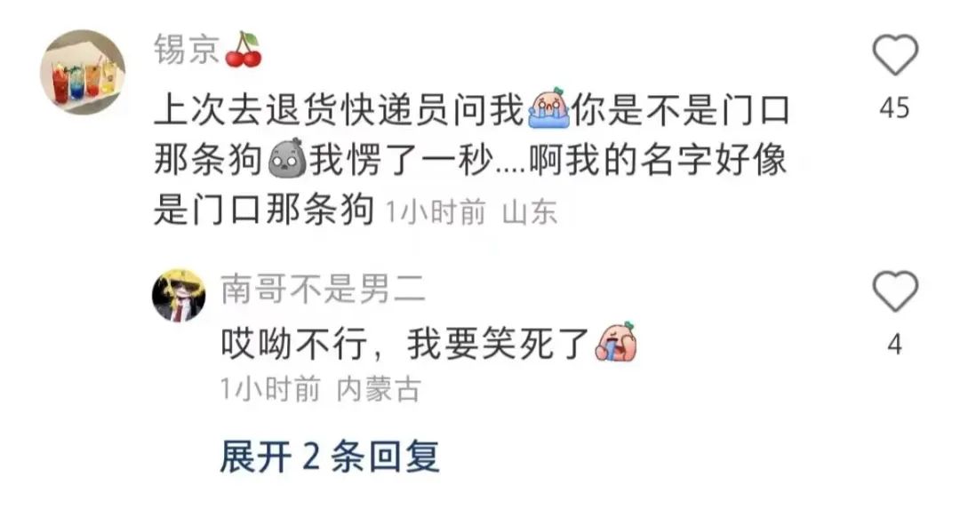 快递已被狗签收 (您的快递已被狗签收)