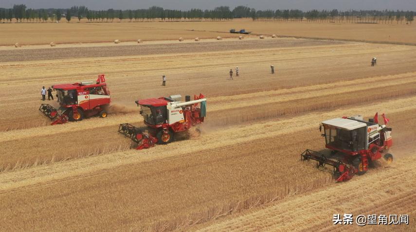 减出亿斤粮！潍柴雷沃以机收减损促颗粒归仓