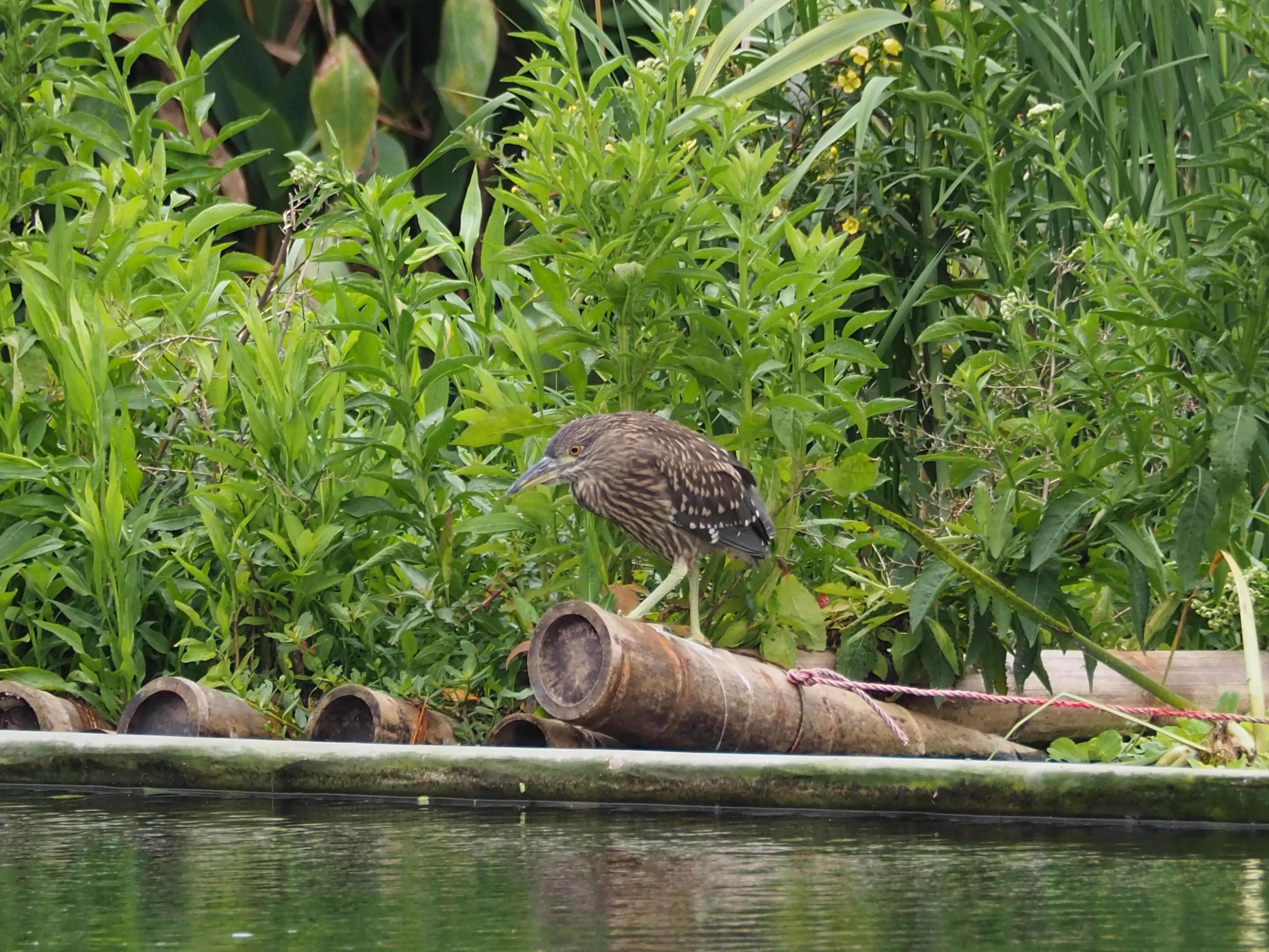 五一假期，O记实录