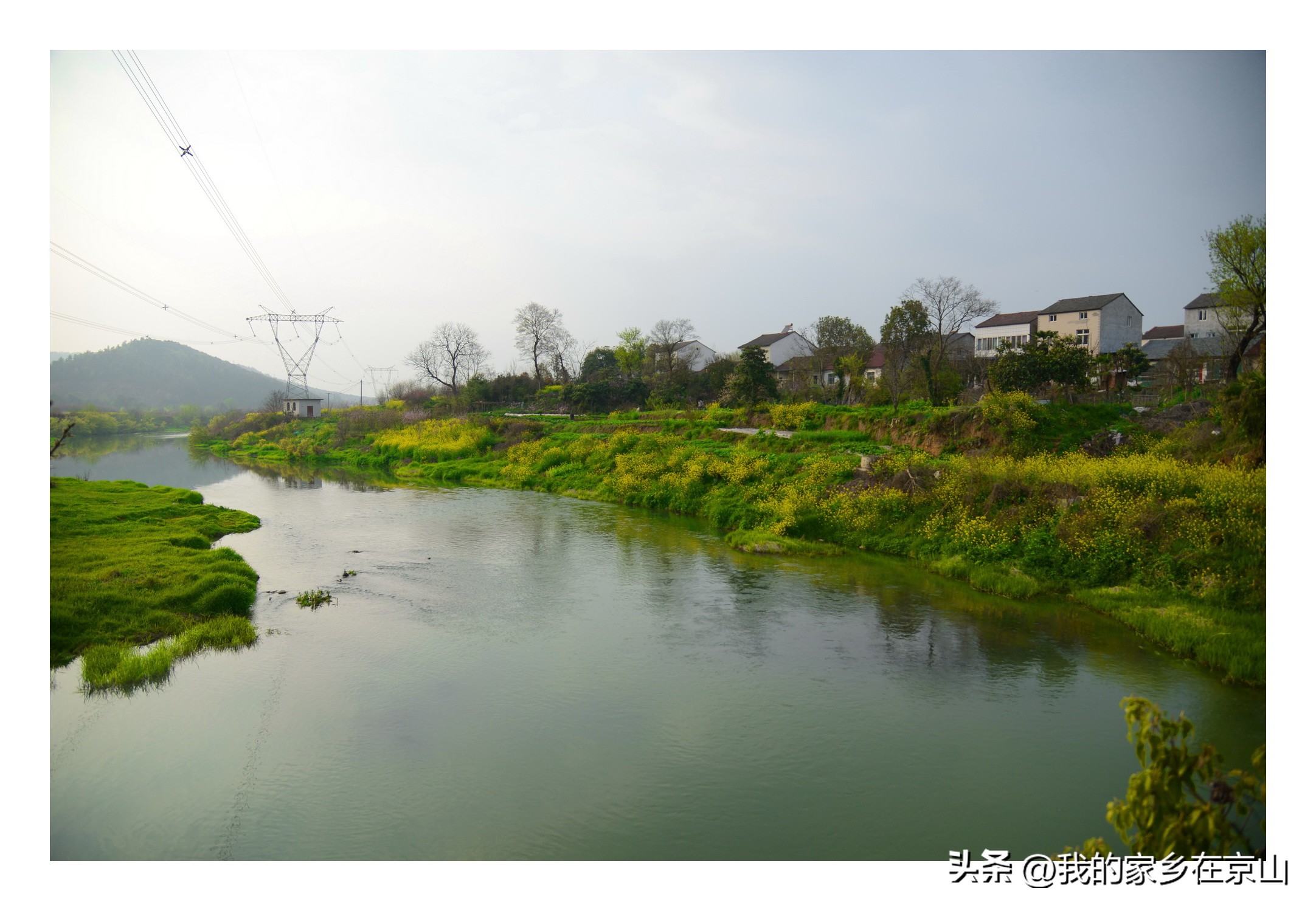 湖北省京山县石氏祖籍,湖北京山尹氏家族谱