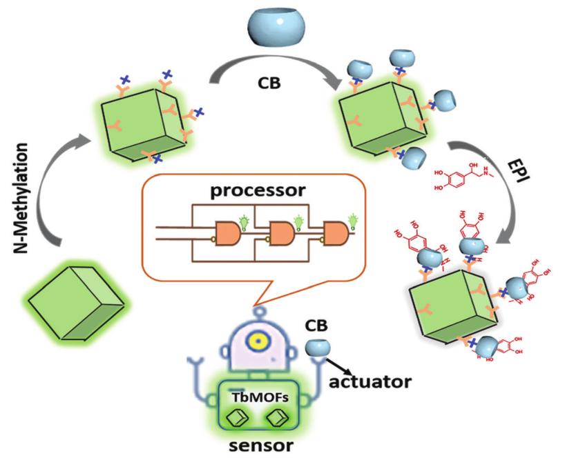 闫冰教授课题组在*土稀**发光MOF材料荧光检测方面的研究进展