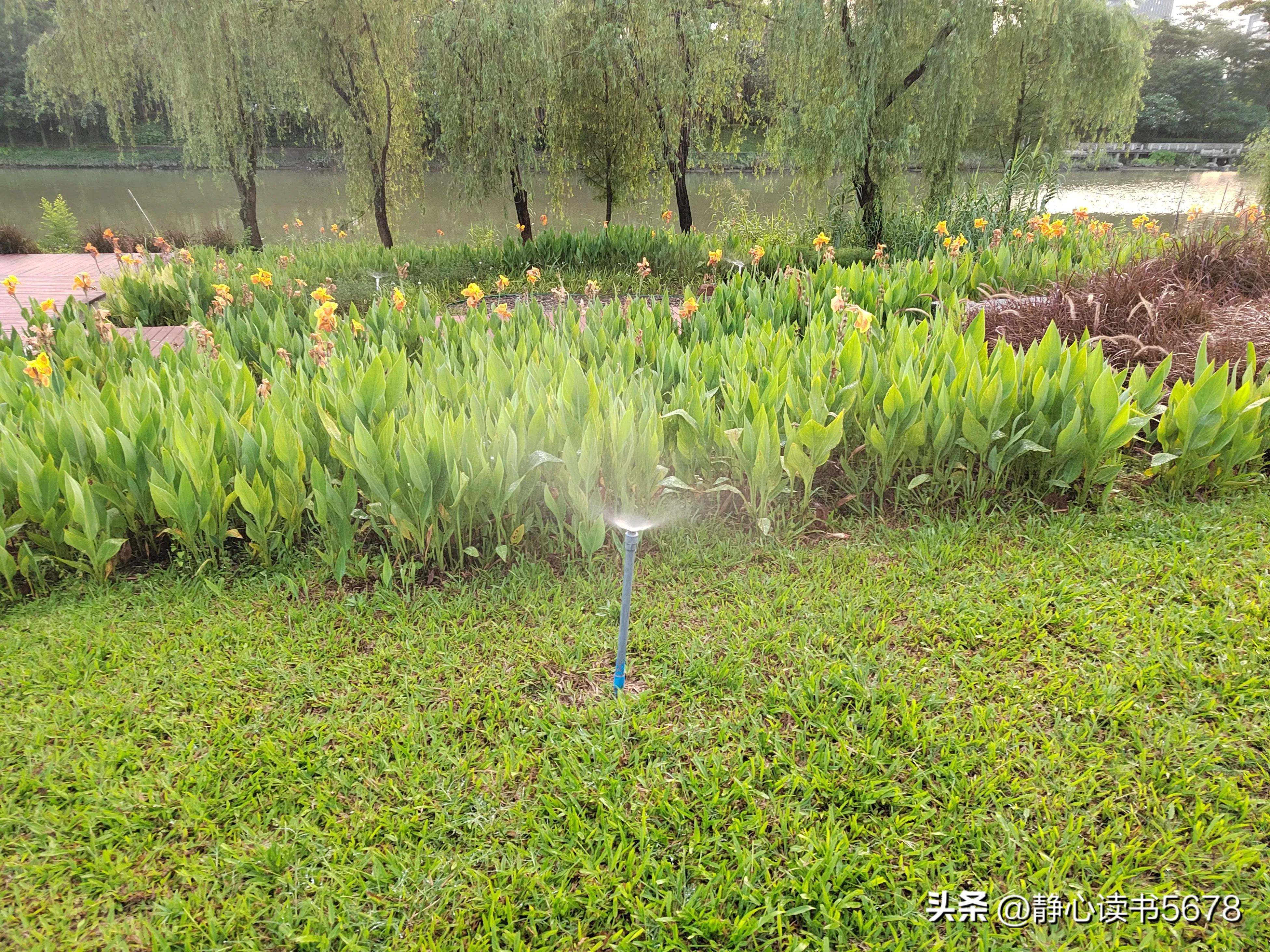 做生意悟出来一个道理,冯仑说做生意求人