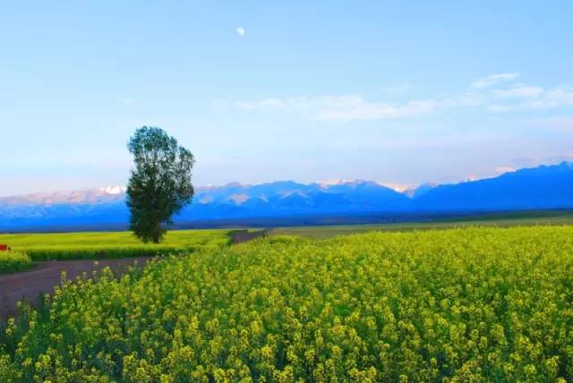 这条惊艳奇绝的公路,行走在天山脊梁上的最美景观公路