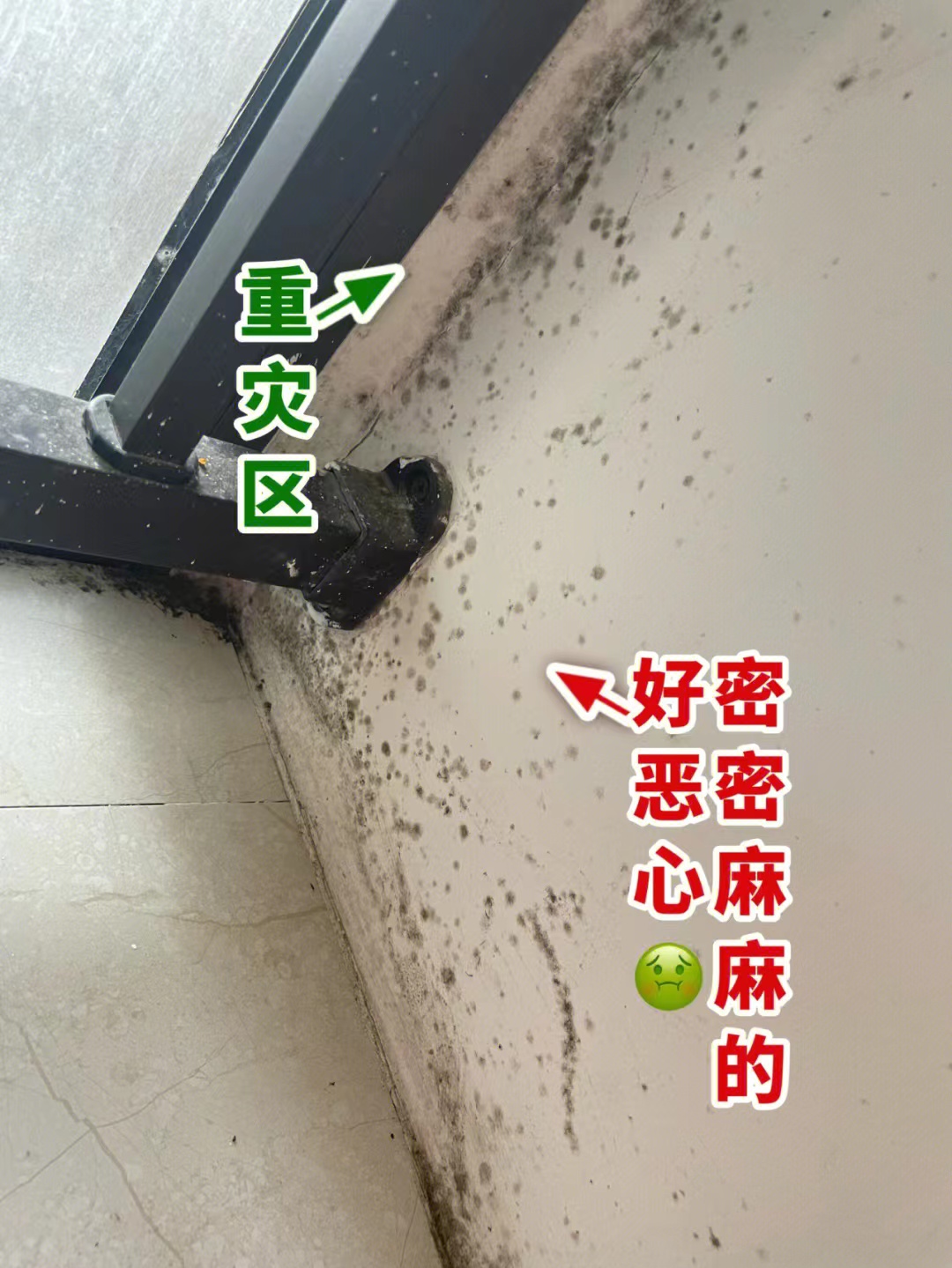 厨房添置这几样高级货,厨房添置物品清单