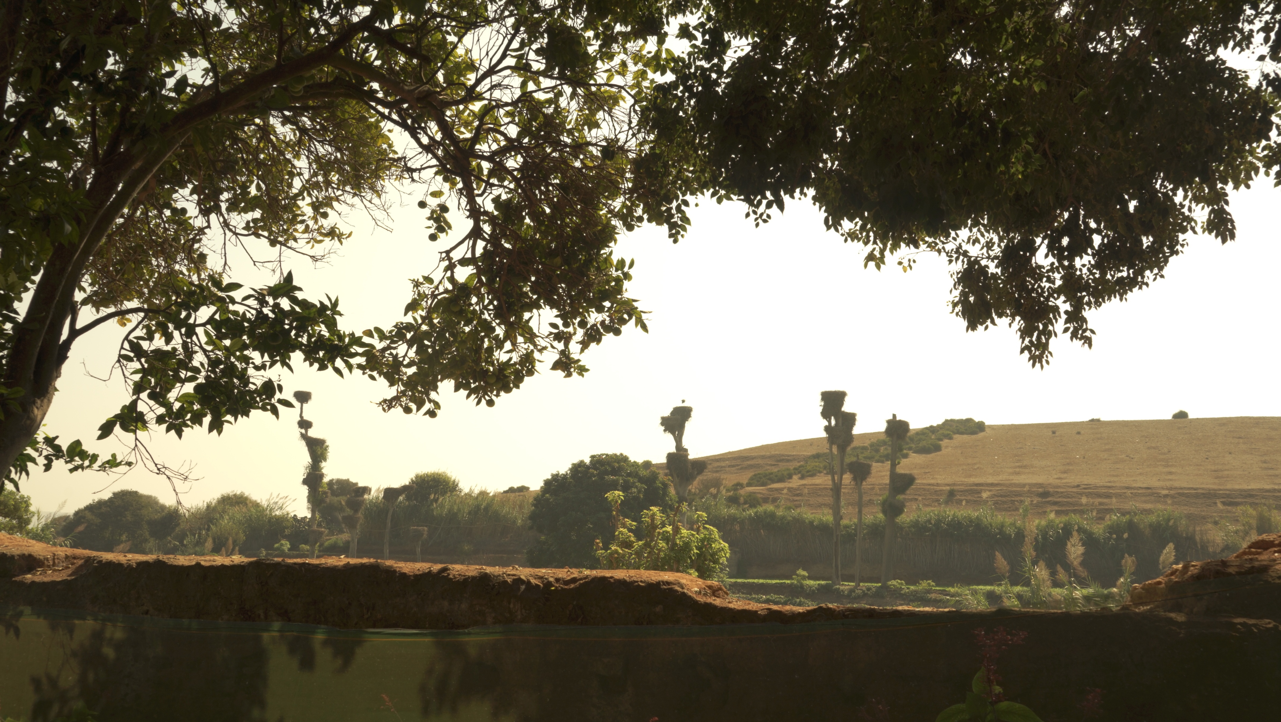 云中鹤空灵音乐,云中鹤钢琴曲