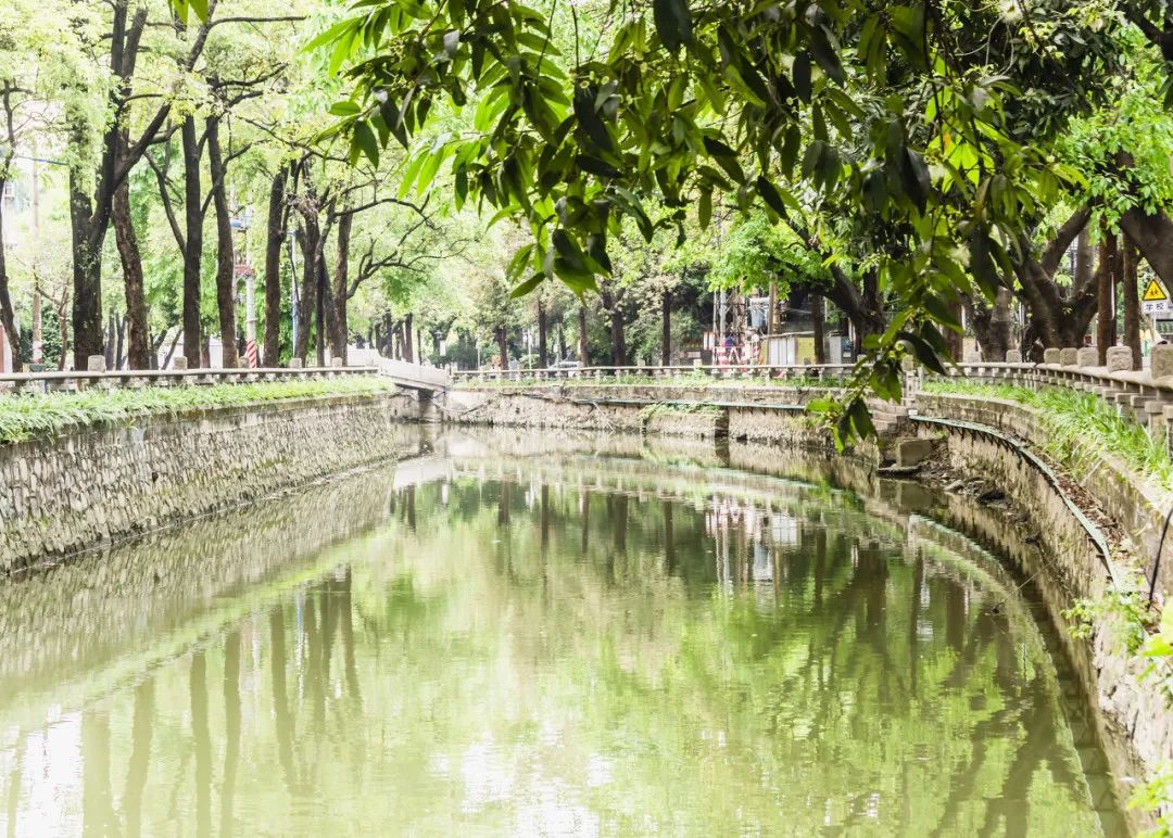 广州最值得去的古镇,适合周末打卡的广州绝美古镇