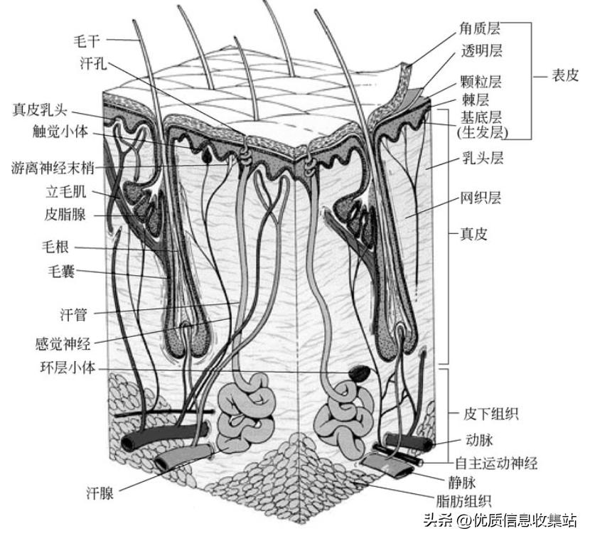 护肤书单爆款,美容化妆品书籍