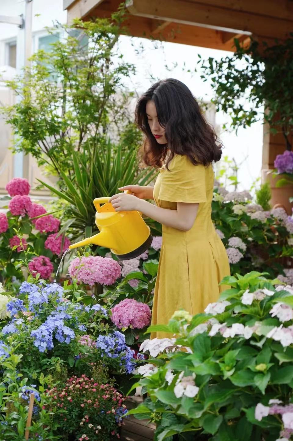 花市上新｜６月的花儿，点燃郫都盛夏色彩