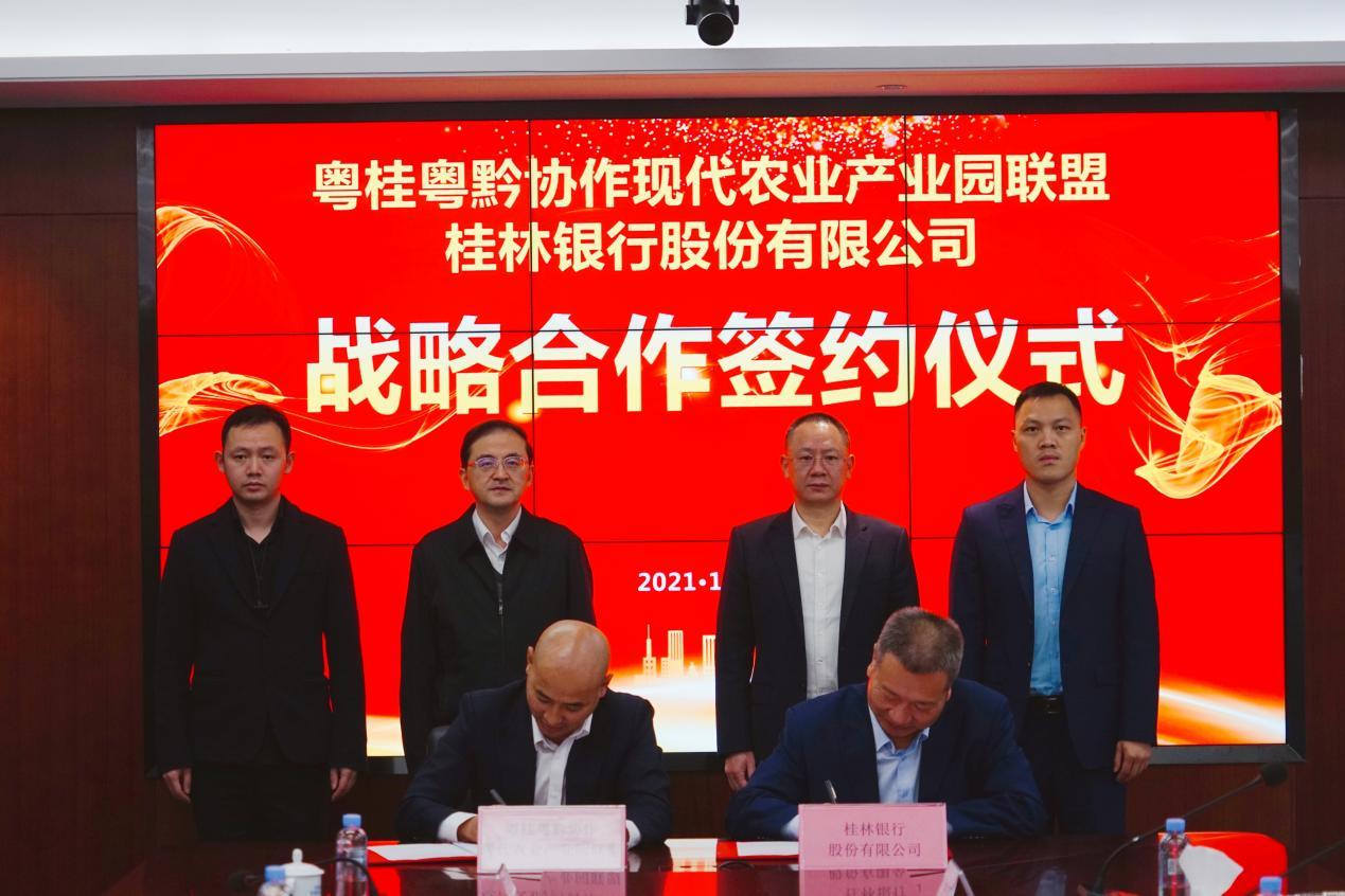 粤桂现代农业产业联盟,现代农业粤桂黔产业联盟