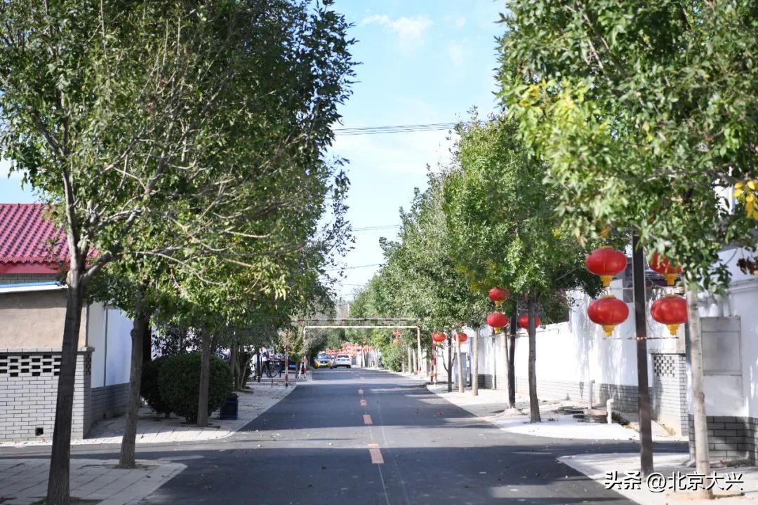 高颜值的大兴,拼的是实力!