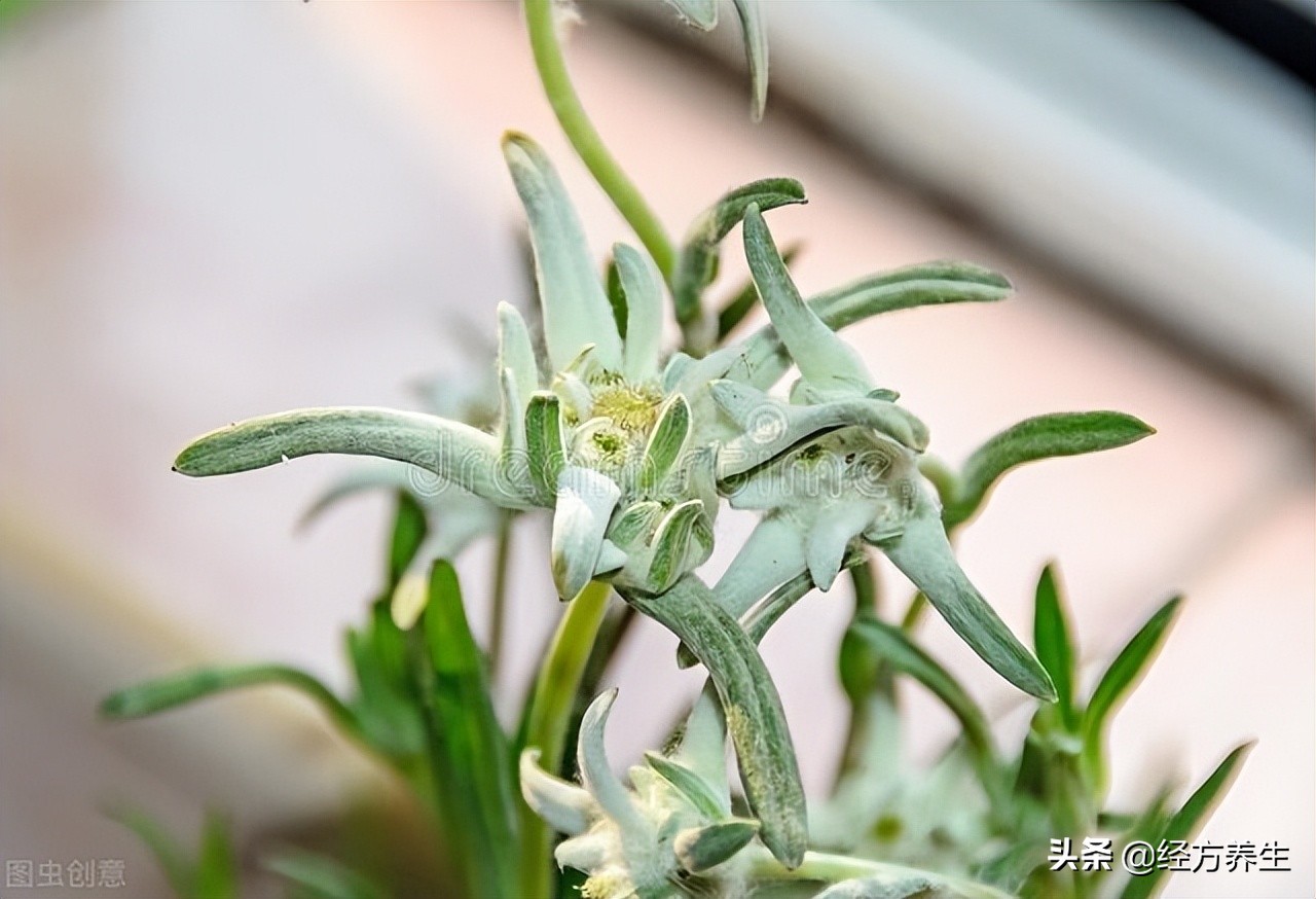 感冒治疗错误会越来越严重吗,感冒了自愈