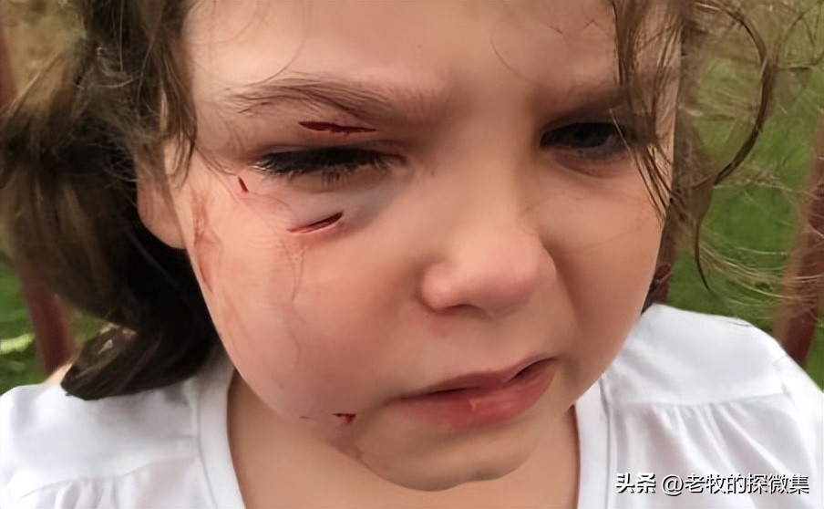 美国“魔鬼”父母：将13个亲生子女当狗养，被发现后叫嚣：我乐意