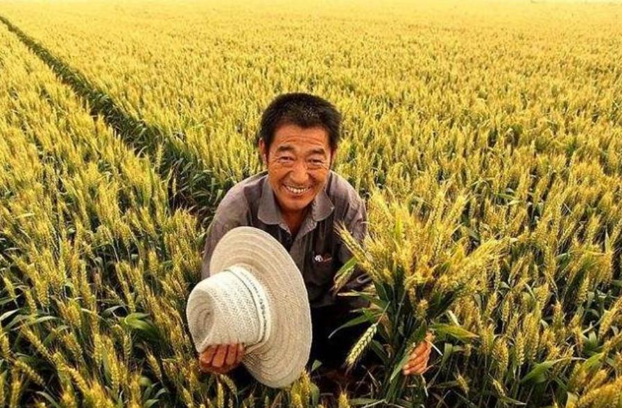 日本人在山东租了1500亩地,日本人在山东租地1500亩现状