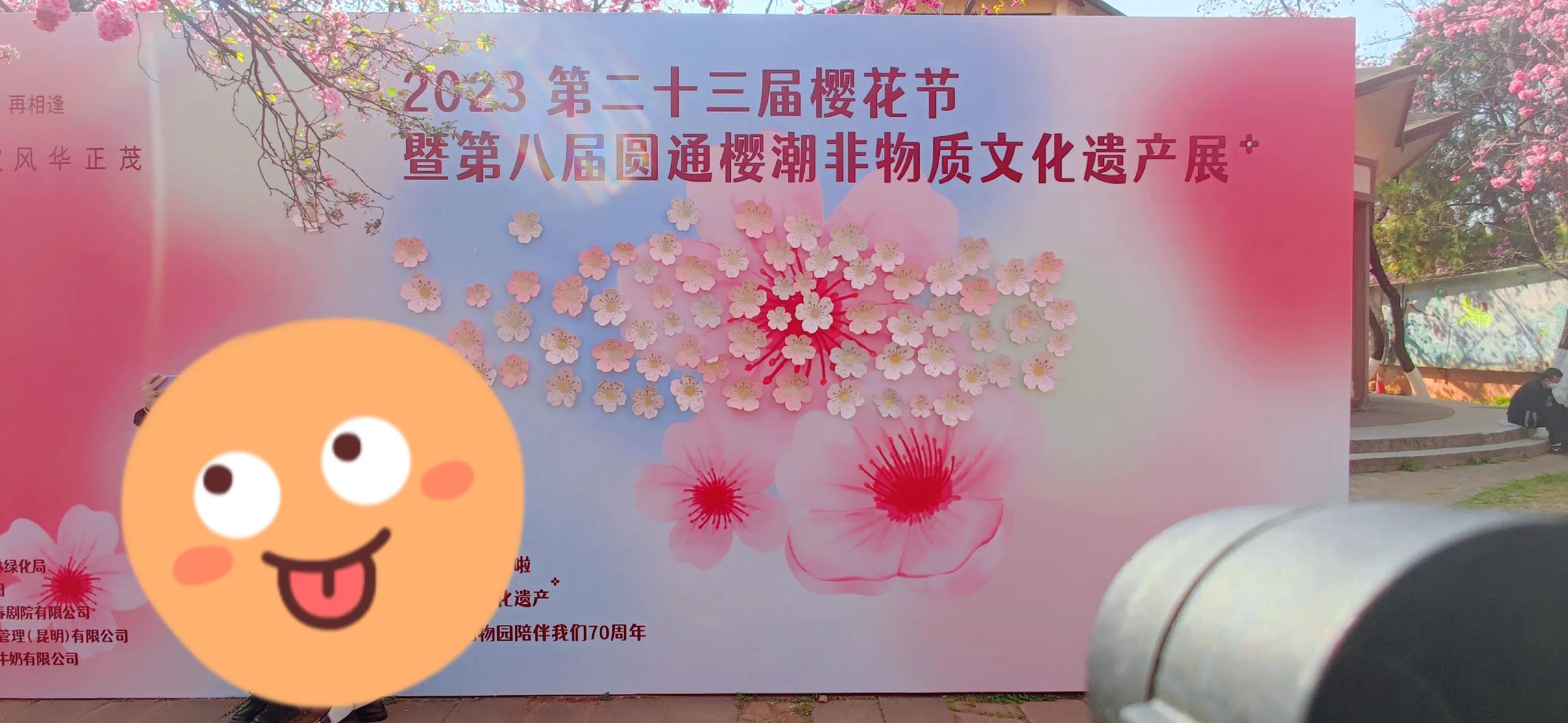 昆明周边一日游旅游景点,昆明旅游必去七大景点推荐