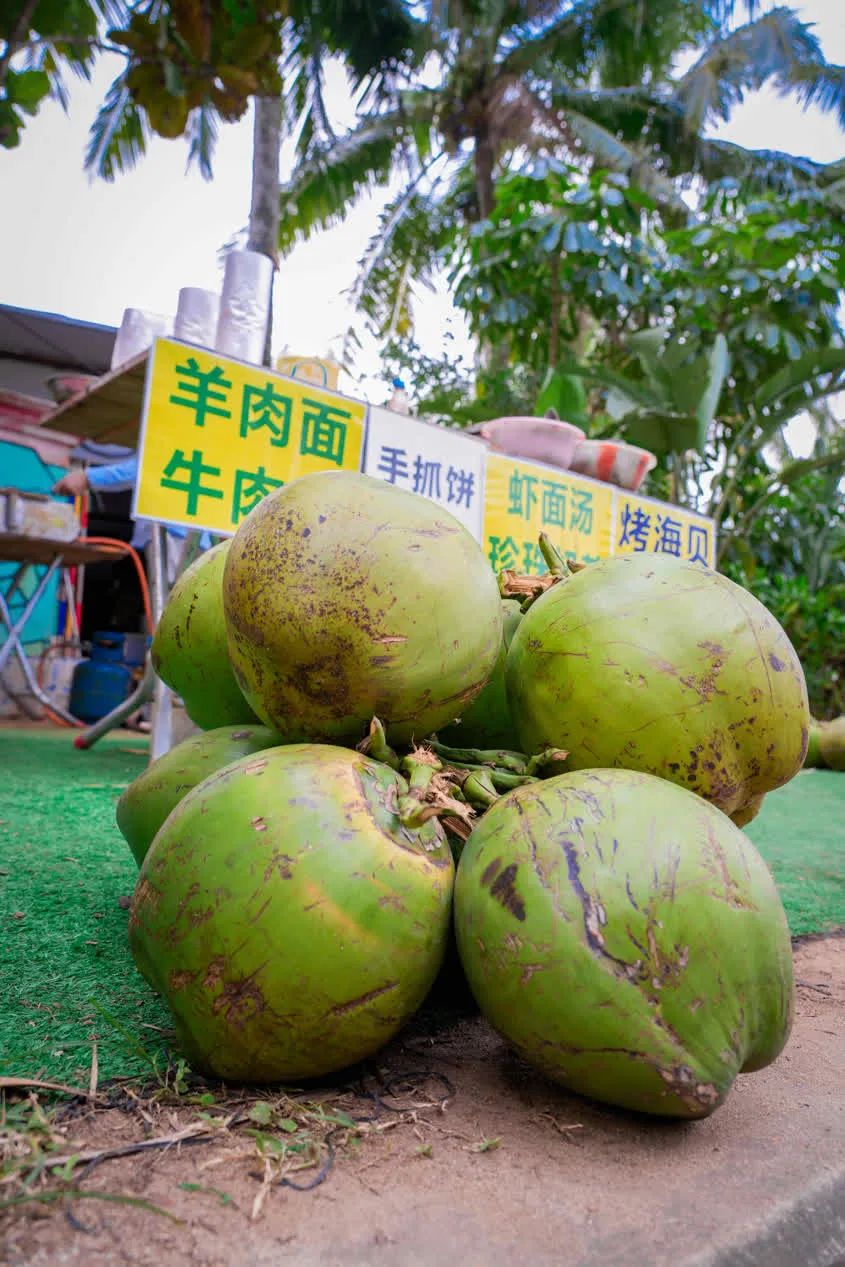 江东打卡｜漫步十里金滩看江东海天一色