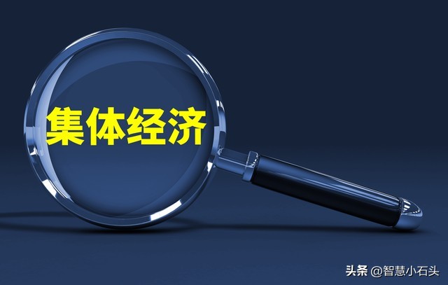 发展壮大农村新型集体经济,农民合作社推动新型集体经济