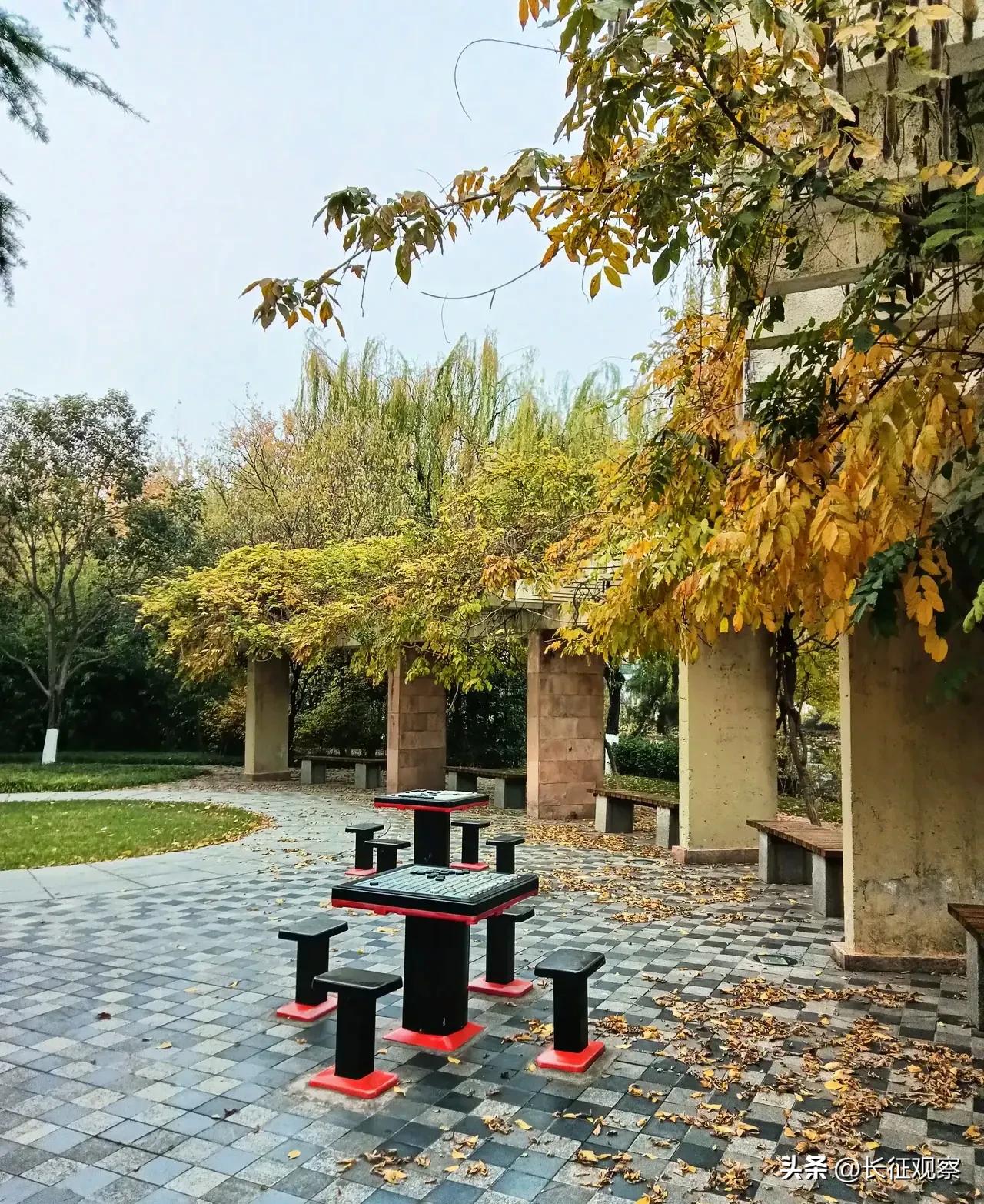 西安“四区联动”效果初现，刘国中强调继续加大措施力度