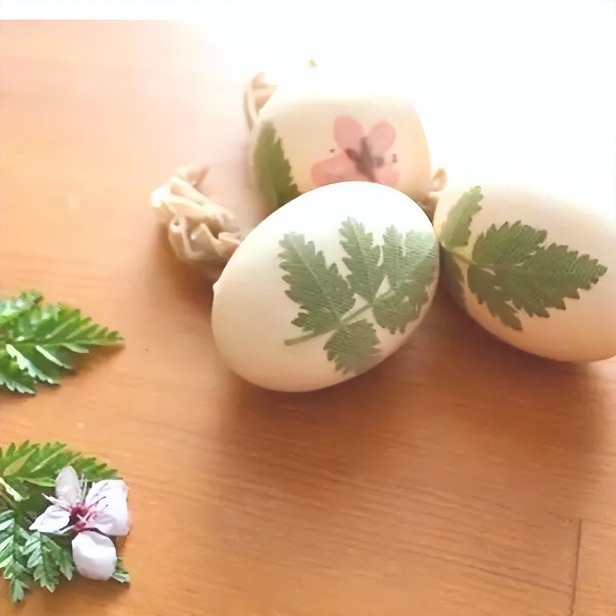 缅怀追思品味清明—无锡市新吴区江溪小学