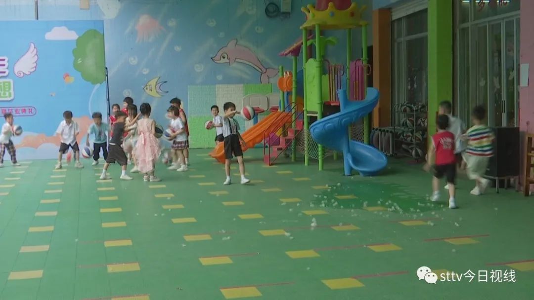 木棉花絮有害吗,木棉飘絮过敏风险地图