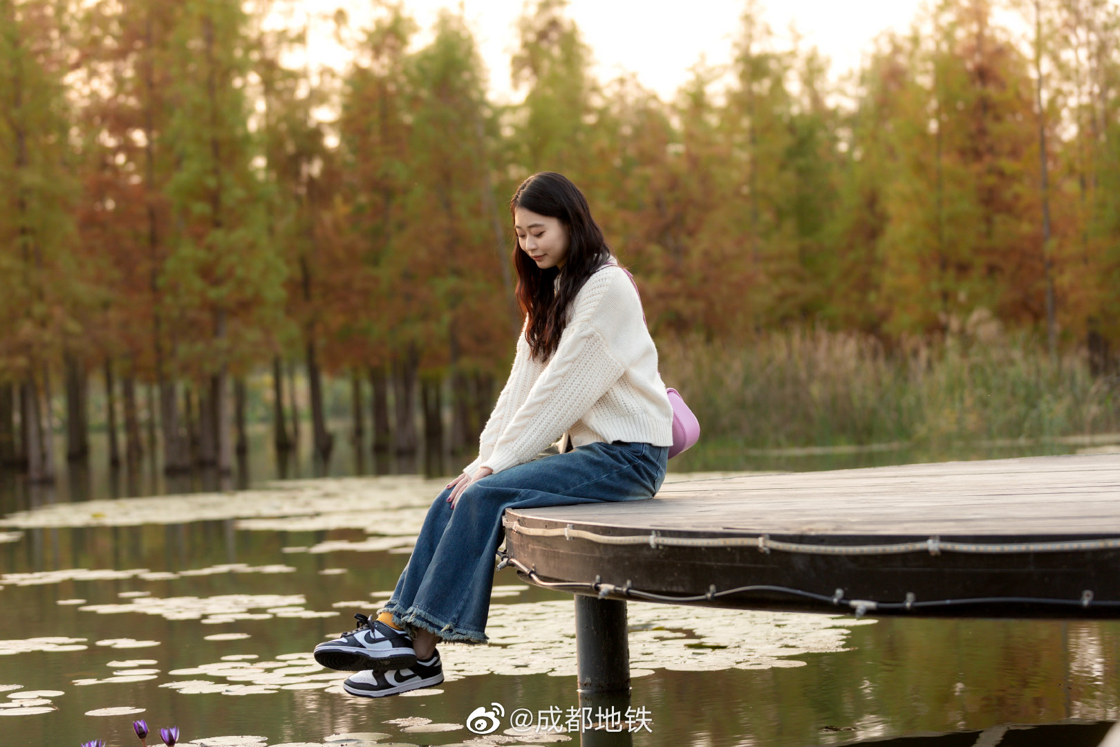 成都水杉林,宝藏成都地铁