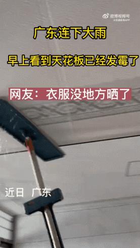 各种搞笑动图大全,吃惊搞笑动图