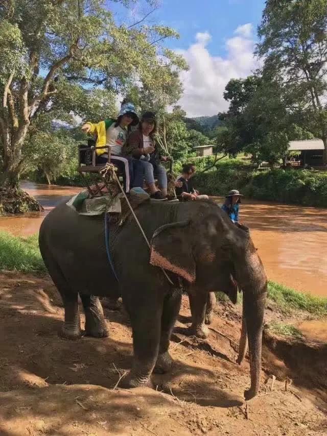 清迈清莱有哪些地方好玩,清迈清莱旅游热门景点遗址
