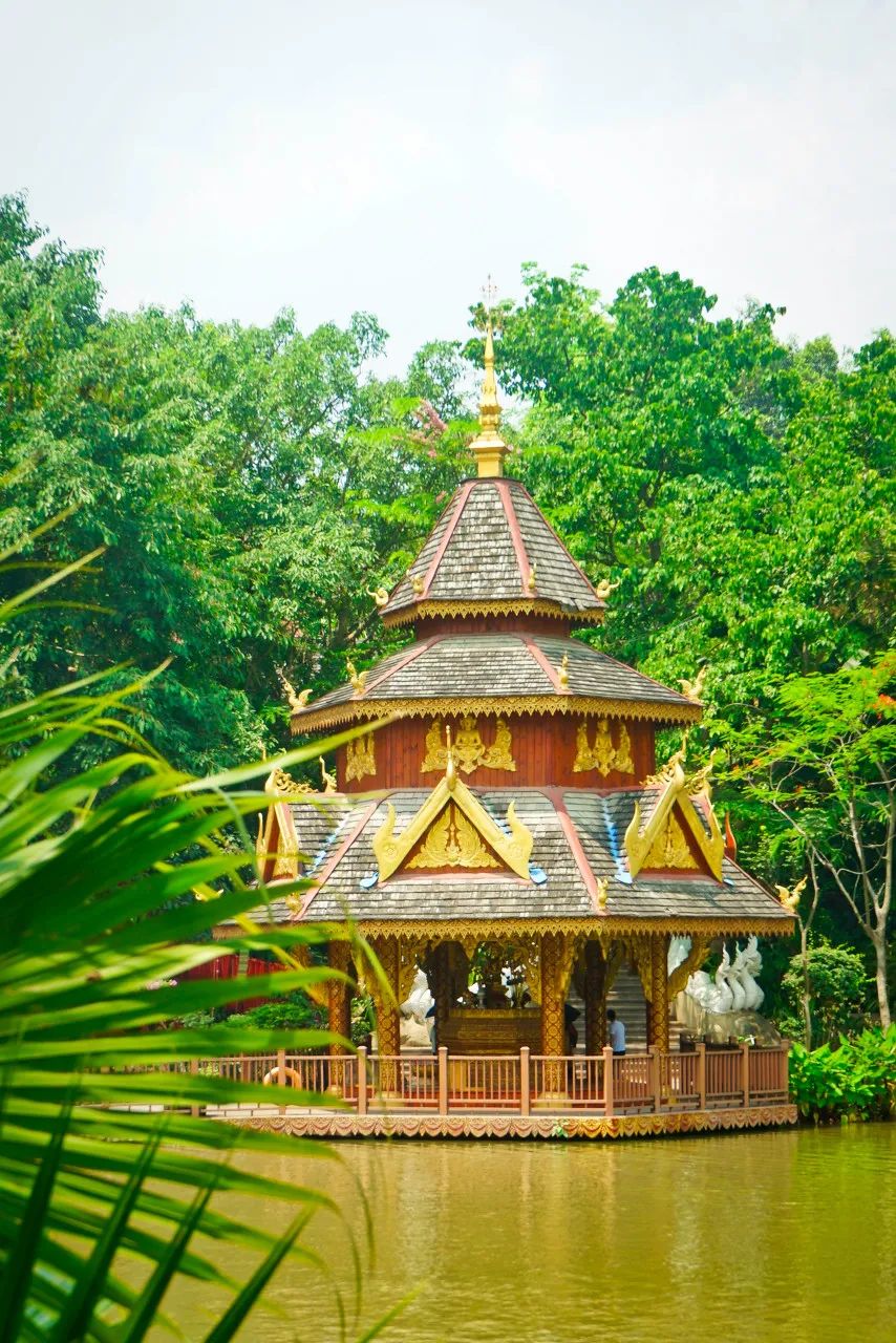 西双版纳体验雨林,吃遍热带水果西双版纳