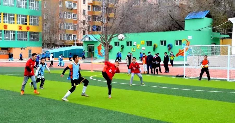 夏天骑马冬天滑冰,夏天骑马冬天骑骆驼