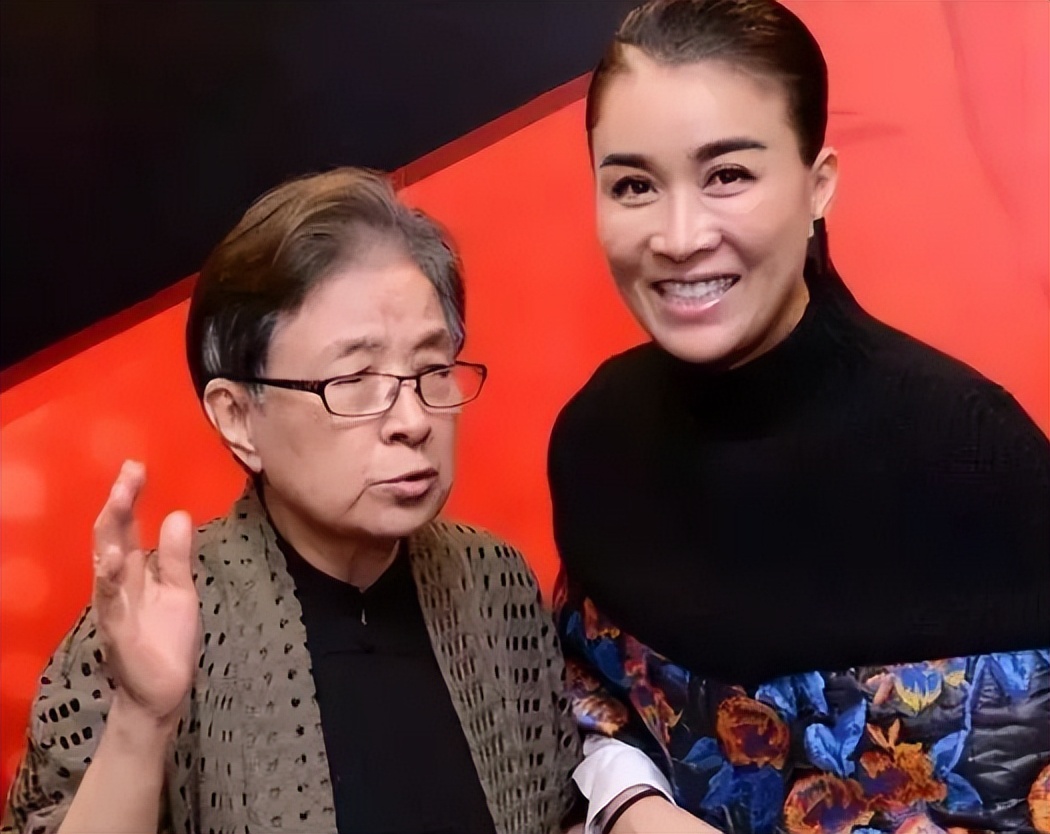 那英怒踹粉丝,那英当众踹粉丝惹争议