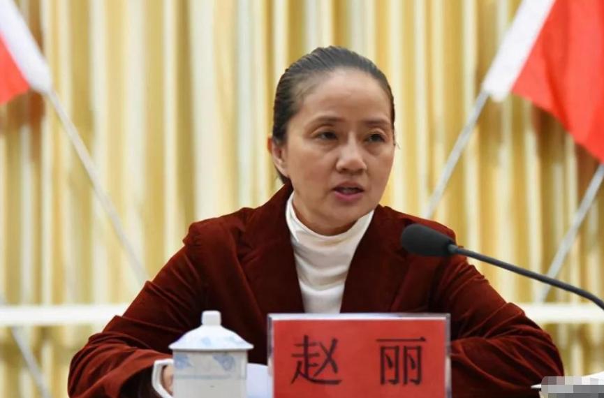 广西“女色虎”赵丽：强迫司机发生关系6年，疯狂敛财1344万