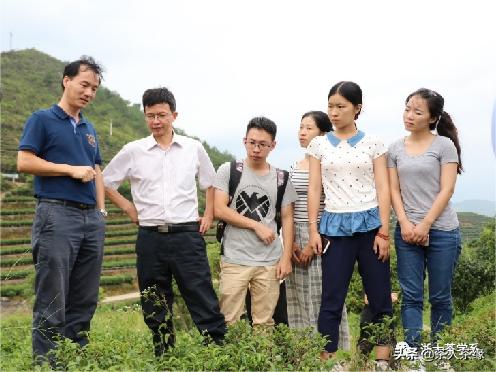 浙江大学茶学专业获评国家级一流本科专业建设点