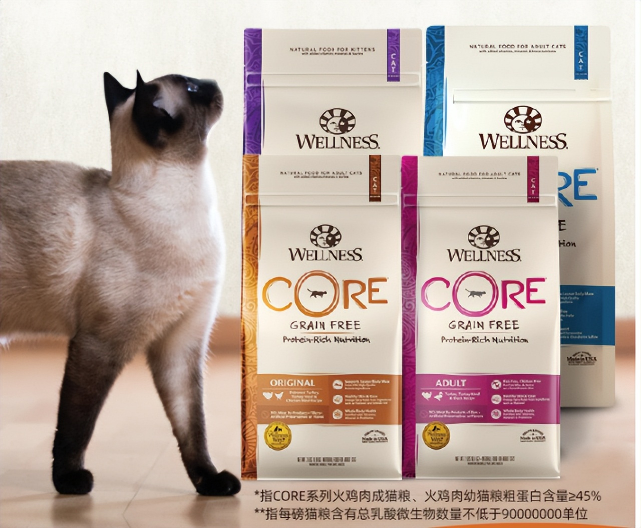 美国短毛猫吃多少猫粮合适,美国短毛猫吃什么猫粮比较好