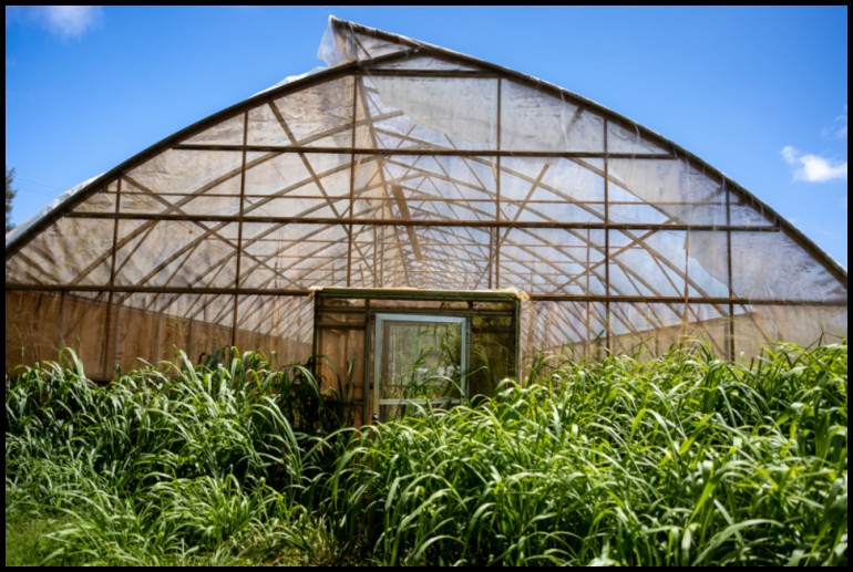 情侣动漫图片制作头像,怎么制作专属动漫图片