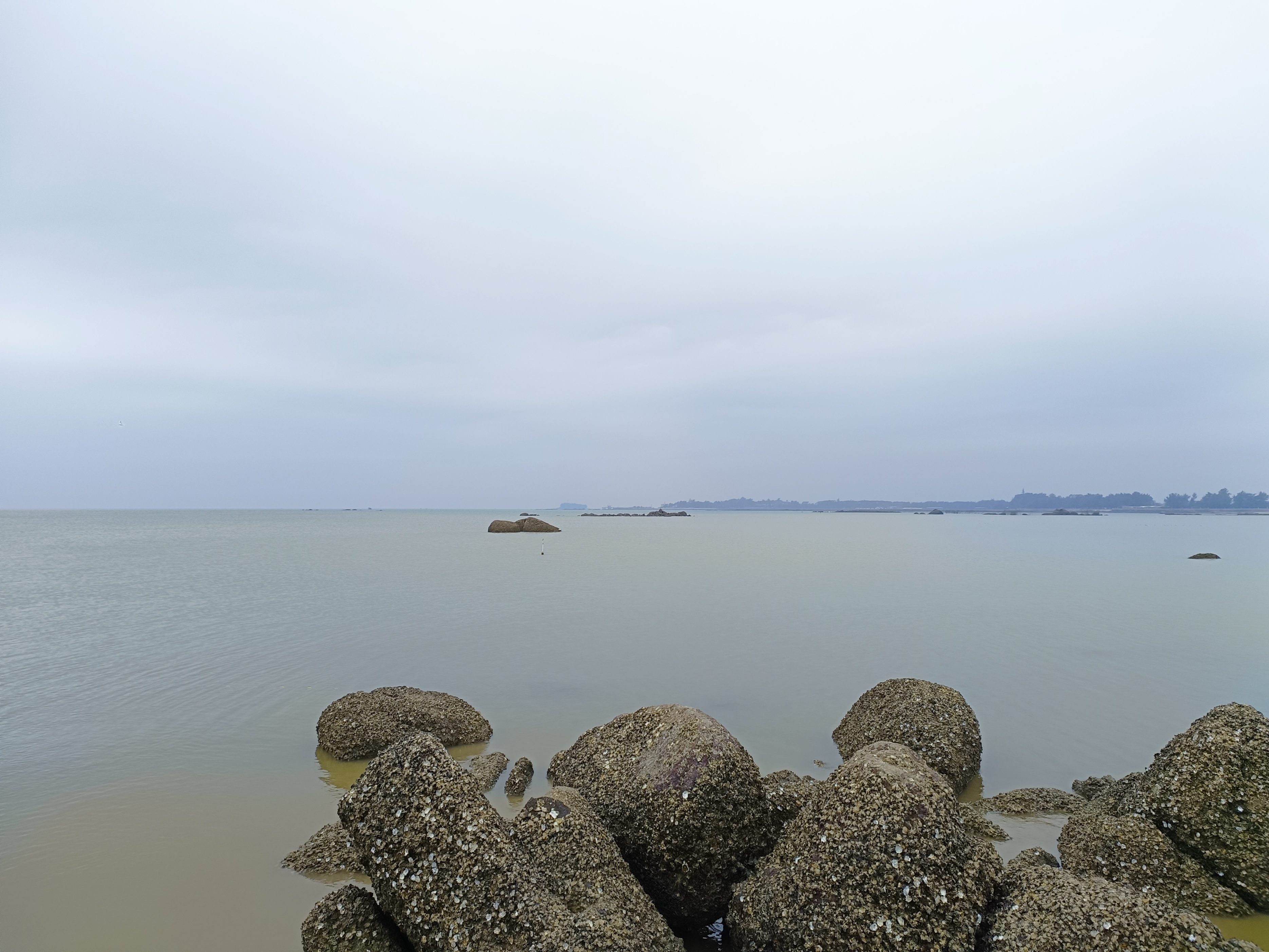 右手端啤，就着海风，喝到微醺