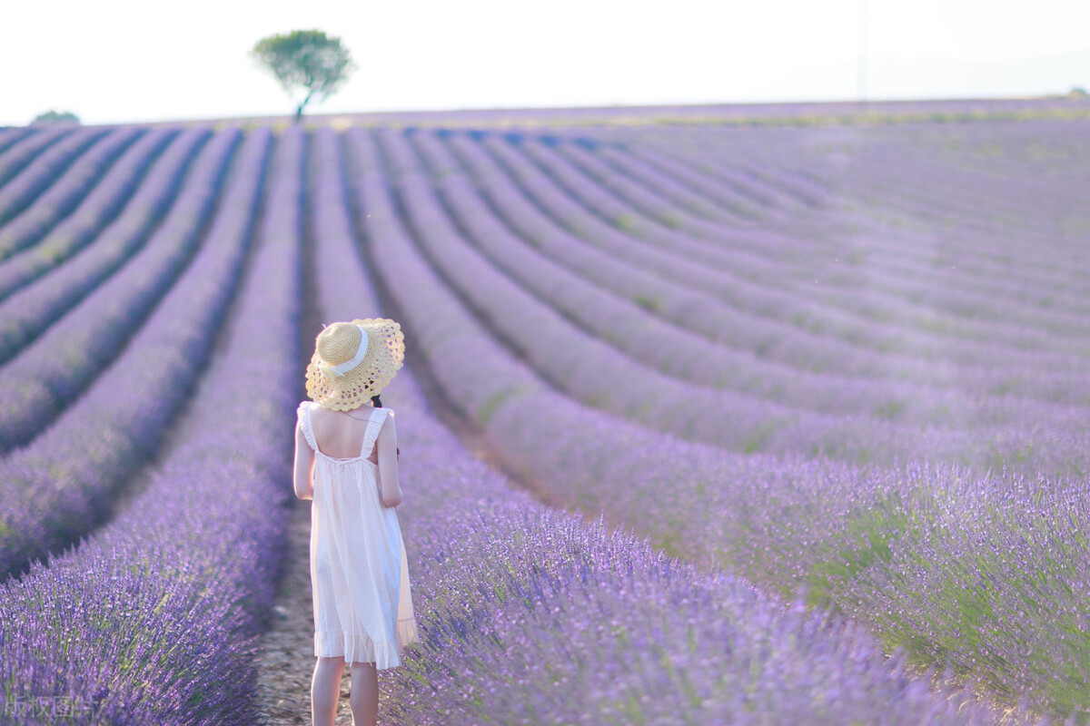 小小说金包银,小小说包包