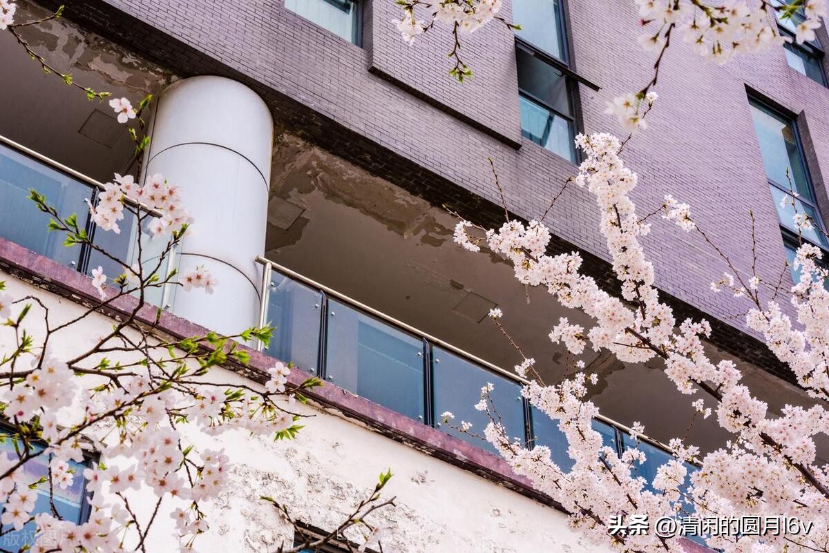 安徽建筑大学函授,安徽建筑大学官网