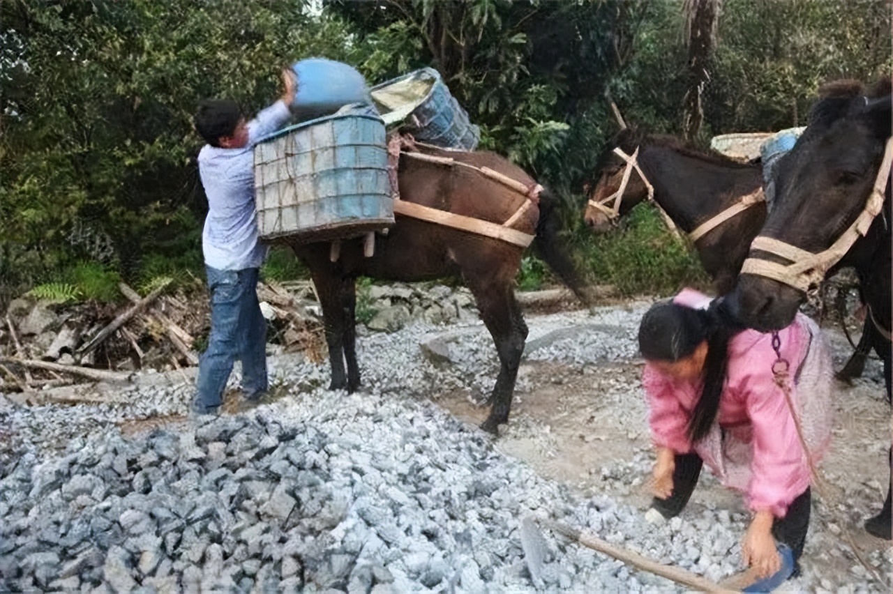 山里马帮的真实生活,农村夫妻货车生活真实记录