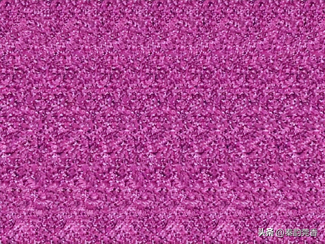 三维立体图能发现什么,三维立体图找隐藏图片