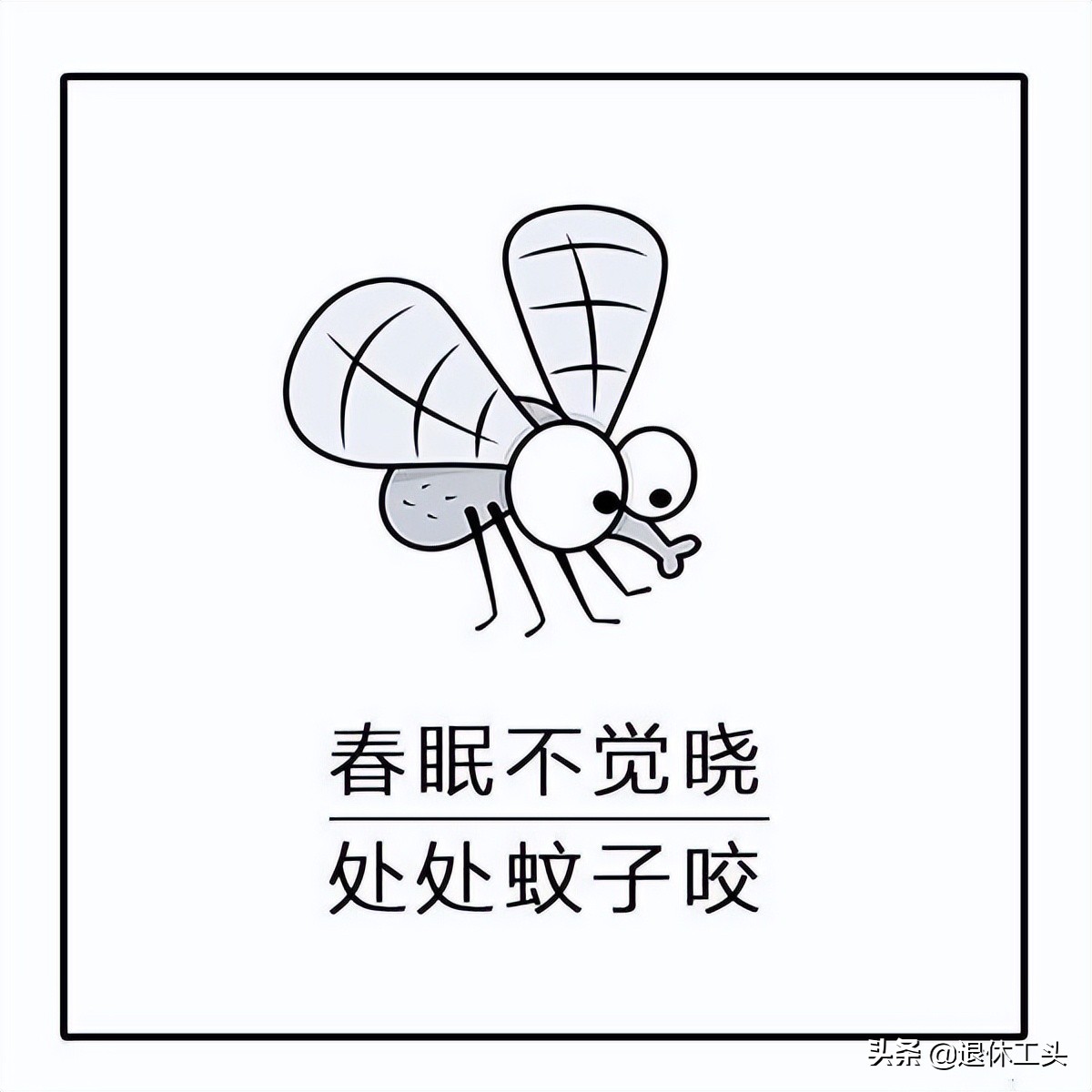 家里没有蚊香了怎么预防蚊子咬人,预防蚊子的绝招