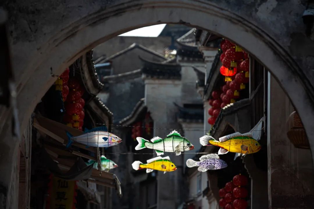 真吃不下了,这个靠海吃海的小县城怎么就能这么好吃