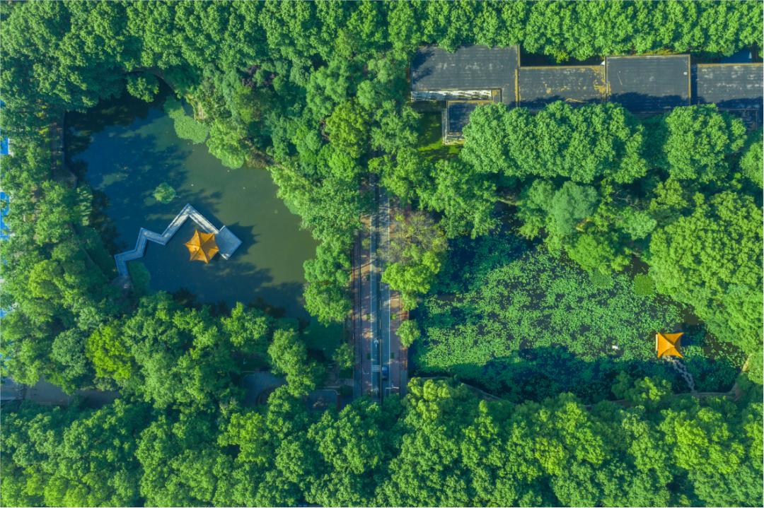 华中科技大学：在国内高校第一方阵中崛起